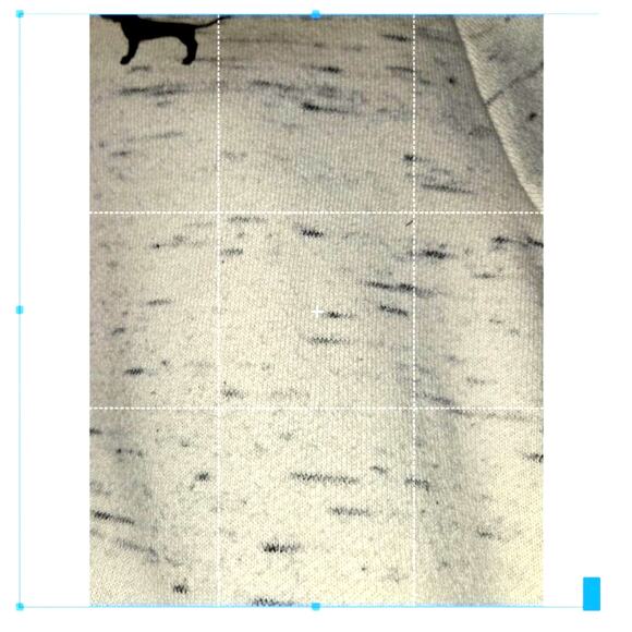 Victoria's Secret PINK Size Large Drawstring Hoodie Full Zip Cream Dog Emblem - Picture 5 of 5